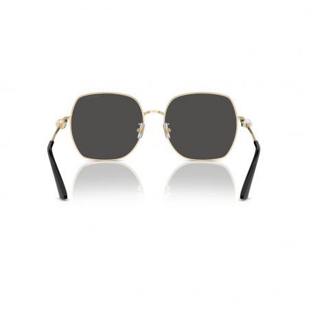 Jimmy Choo 4008HD-300687 [3]