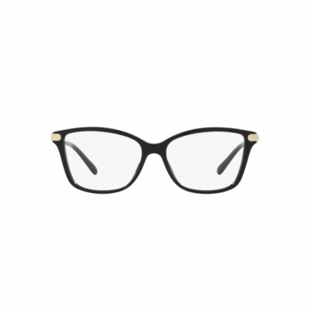 Michael Kors 4105BU-3005 Georgetown [1]