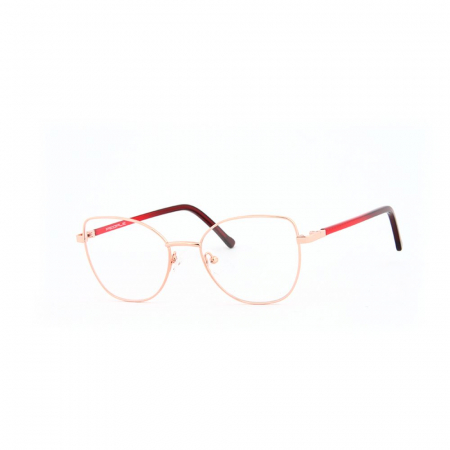 RAME DE VEDERE - People 6093-4