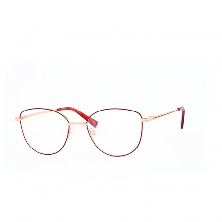 RAME DE VEDERE - People 6103-3