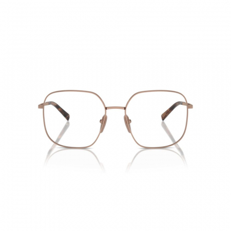 Prada A59V-ZVF1O1 [1]