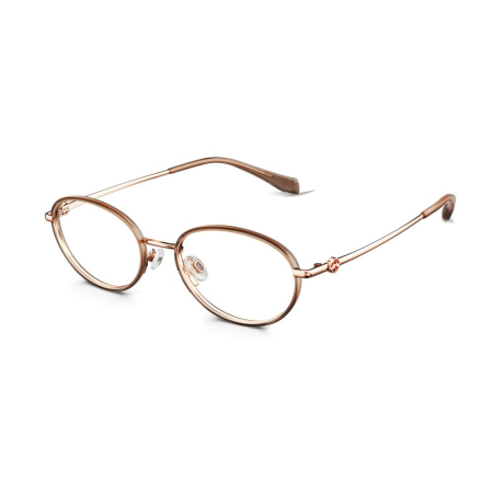 Rame de ochelari Molsion - Rama de ochelari Molsion 6037-B21