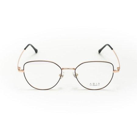 Rame de ochelari Aria AA1012-C3 [1]