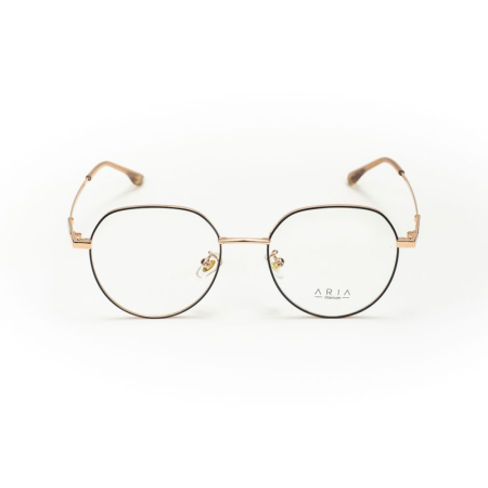 Rame de ochelari Aria AA1031-C2 [1]