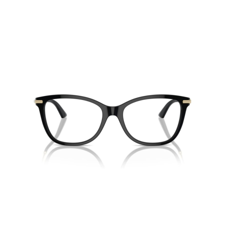 Rama de ochelari Jimmy Choo 3007HB-5000 [1]