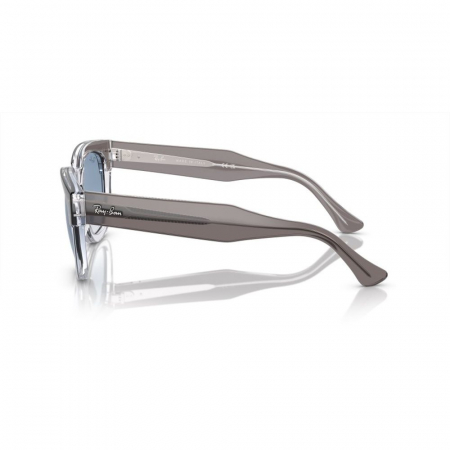 Ray-Ban 0298S-13553F Mega hawkeye [2]