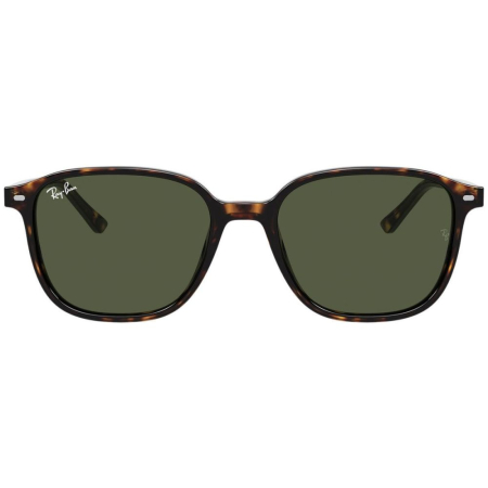 Ray-Ban 2193-53-902/31 Leonard [1]