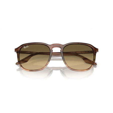  Ray-Ban 2203-13920A [3]
