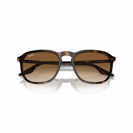 Ray-Ban 2203-902/51 [2]