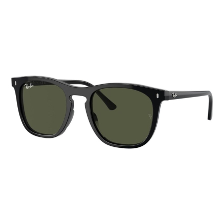 Ray-Ban 2210-53-901/31