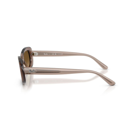 Ray-Ban 2221-6827M2 Polarizat [1]