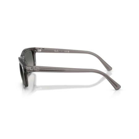 Ray-Ban 2224-667571 [1]