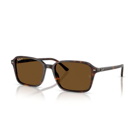 OCHELARI DE SOARE -  Ray-Ban 2231-902/57 Raimond Polarizat