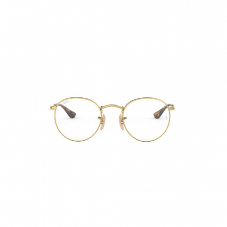 Ray-Ban 3447V-2500 Round [2]
