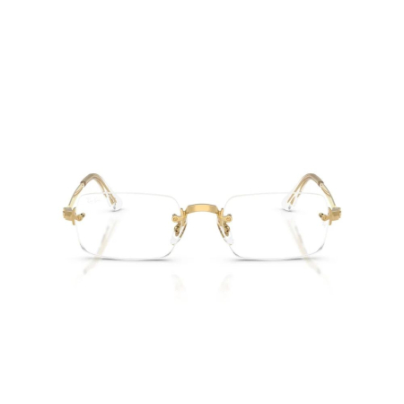 Ray-Ban 3928V-2500 Asap Rocky [2]