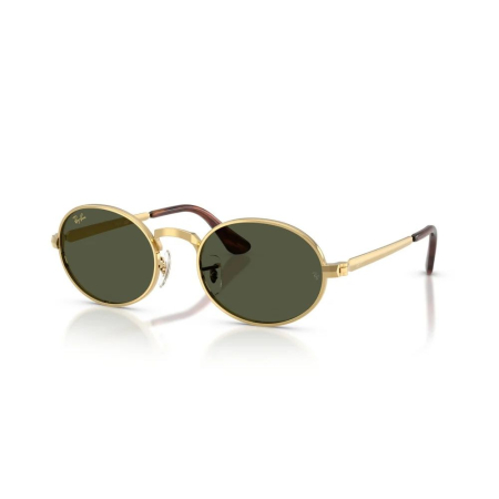 OCHELARI DE SOARE - Ray-Ban 3931-001/31 Asap Rocky
