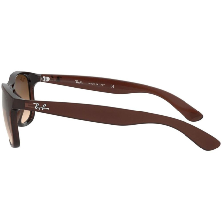 Ray-Ban 4202-607313 Andy [1]