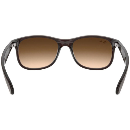 Ray-Ban 4202-607313 Andy [2]