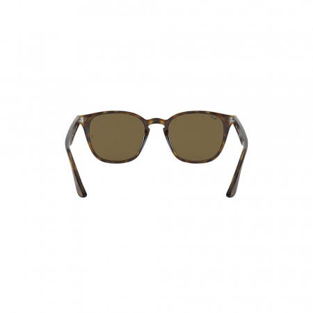 Ray-Ban 4258-710/73 [3]