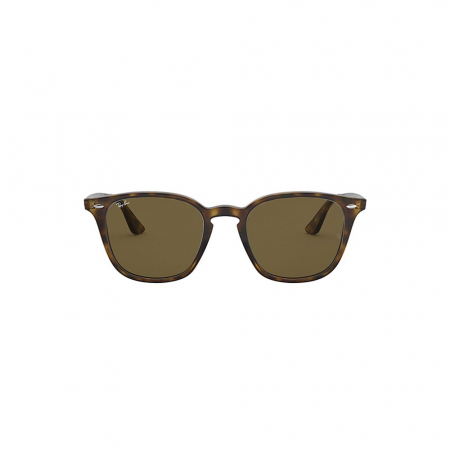 Ray-Ban 4258-710/73 [1]