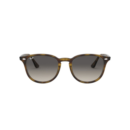 Ray-Ban 4259-710/11 [3]