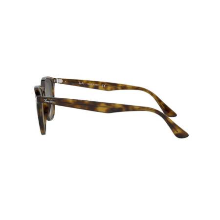 Ray-Ban 4259-710/11 [1]