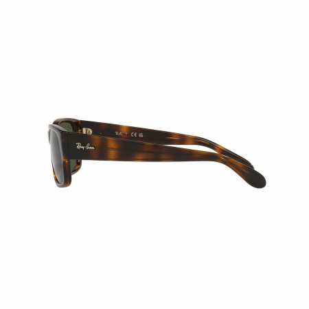 Ray Ban 4388-710/31 [1]