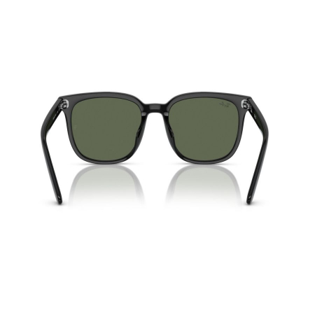Ray-Ban 4401D-601/71 [3]
