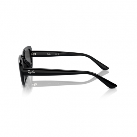 Ray-Ban 4421D-667787 [2]