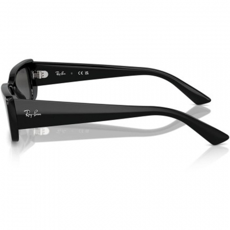 Ray-Ban 4425-667787 Teru [2]