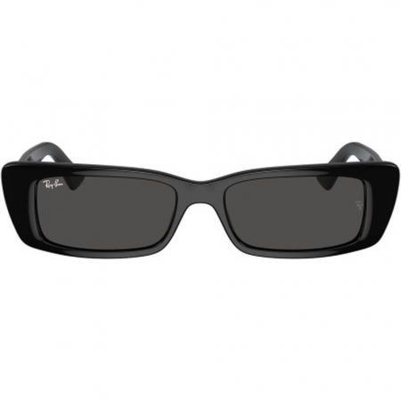 Ray-Ban 4425-667787 Teru [1]