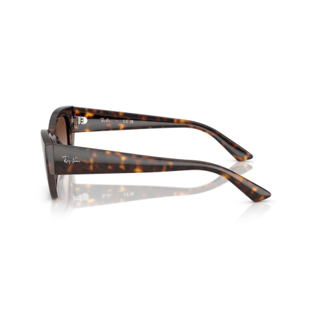  Ray-Ban 4430-135913 Zena [1]