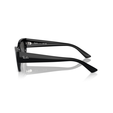 Ray-Ban 4430-667787 Zena [2]