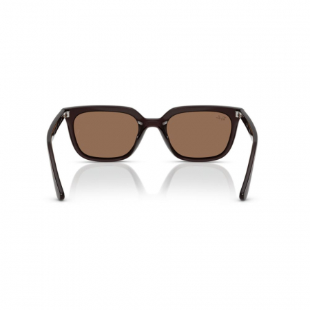 Ray-Ban 4439D-623173 [3]