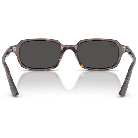 Ray-Ban 4455-135987 Zuri [2]