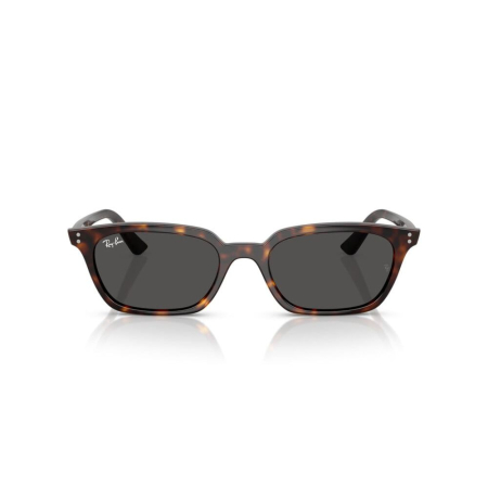  Ray-Ban 4456-135987 Zaya [2]