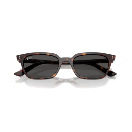  Ray-Ban 4456-135987 Zaya [3]