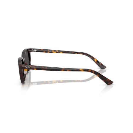 Ray-Ban 4456-135987 Zaya [1]