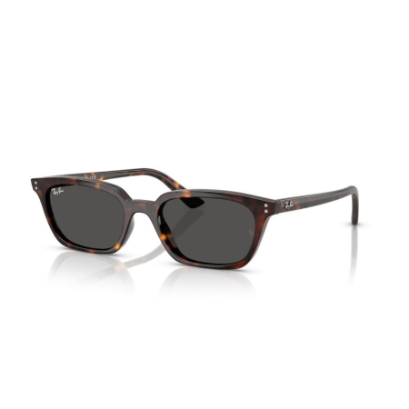 OCHELARI DE SOARE -  Ray-Ban 4456-135987 Zaya
