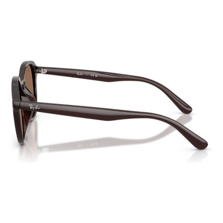 Ray-Ban 4459D-623173 [1]