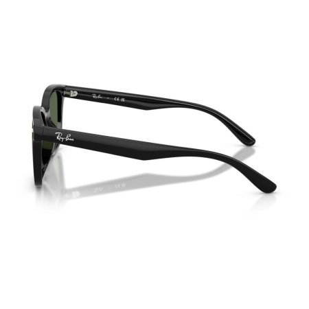 Ray-Ban 4461D-601/71 [3]