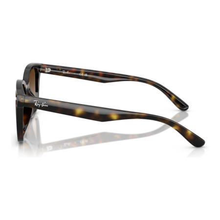 Ray-Ban 4461D-710/13 [1]