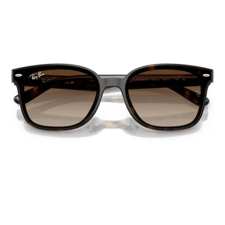 Ray-Ban 4461D-710/13 [3]