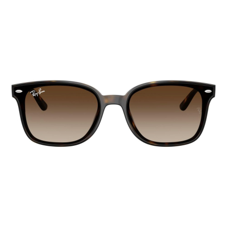 Ray-Ban 4461D-710/13 [2]