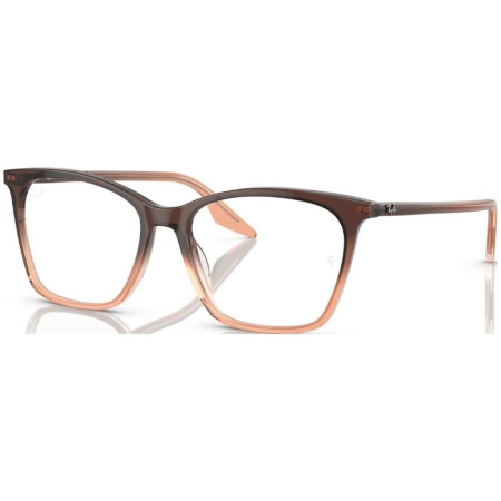 RAME DE VEDERE - Ray-Ban 5422-8312