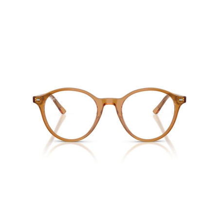 Ray-Ban 5430-8439 Bernard [2]