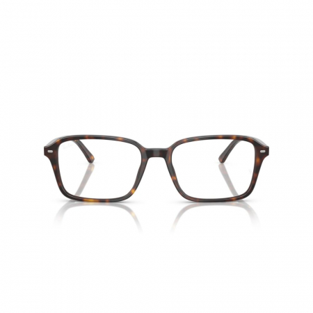 Ray-Ban 5431-2012 Raimond [1]