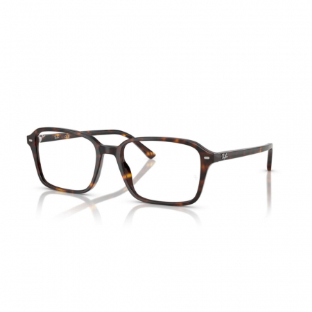 RAME DE VEDERE - Ray-Ban 5431-2012 Raimond