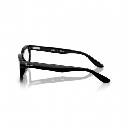 Ray-Ban 5489-2000 Balorette [2]
