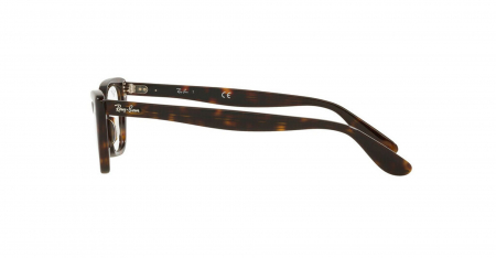 Ray Ban 5499-2012 [2]